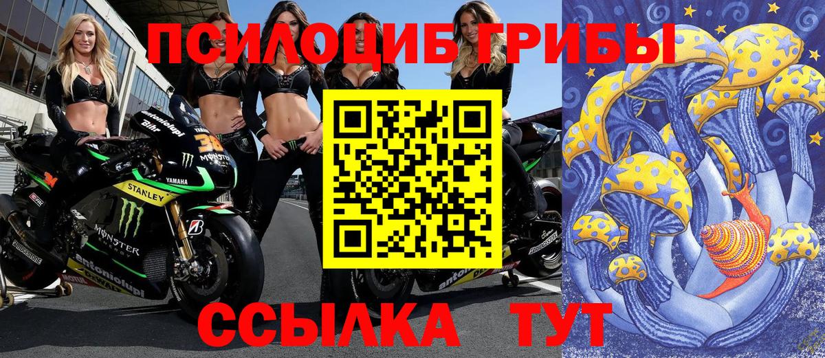 хочу наркоту  Вход с VPN  Кулебаки  Псилоцибиновые грибы MAGIC MUSHROOMS 